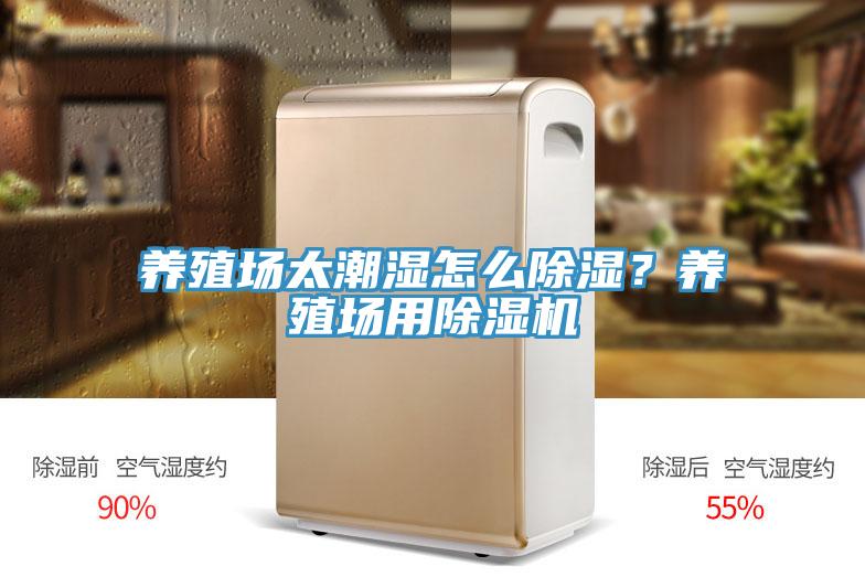 養殖場太潮濕怎麽除濕？養殖場用草莓视频污污污污