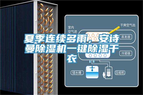 夏季連續多雨，草莓视频黄污下载草莓视频污污污污一鍵除濕幹衣