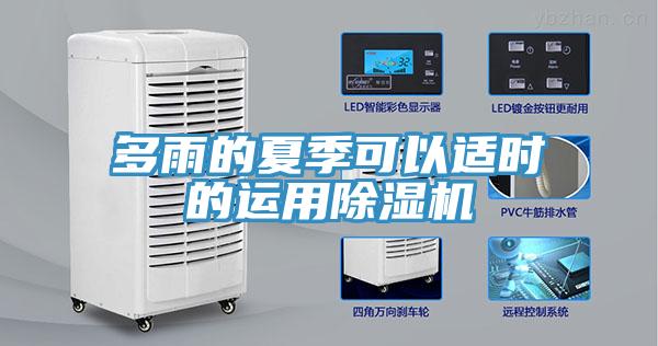 多雨的夏季可以適時的運用草莓视频污污污污