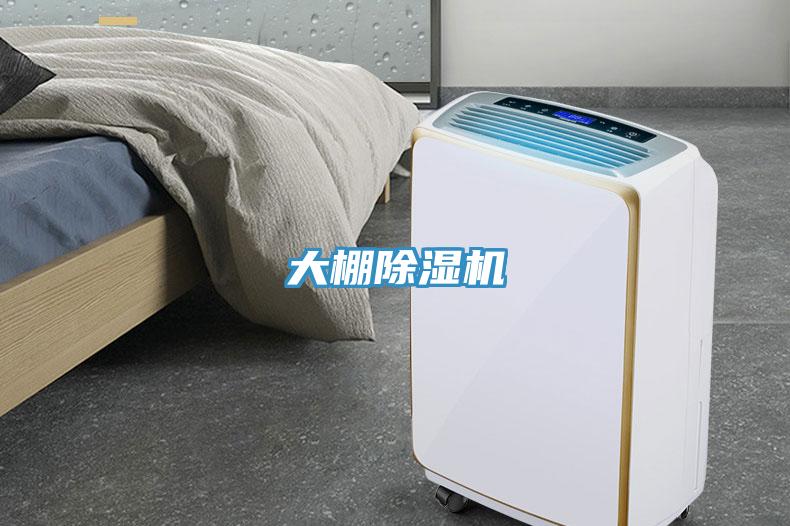 大棚草莓视频污污污污