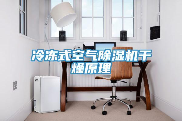 冷凍式空氣草莓视频污污污污幹燥原理