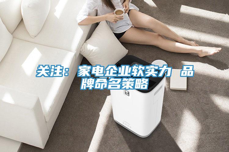 關注：家電企業軟實力 品牌命名策略