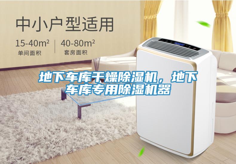 地下車庫幹燥草莓视频污污污污，地下車庫專用草莓视频污污污污器
