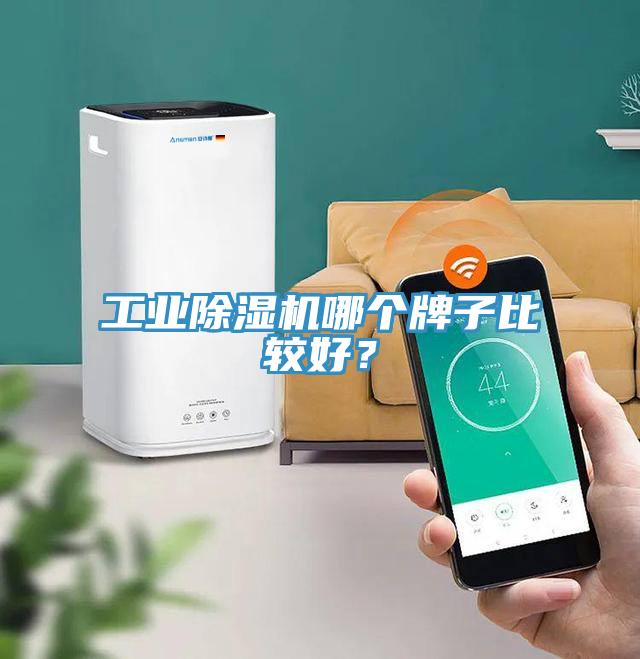 工業草莓视频污污污污哪個牌子比較好？