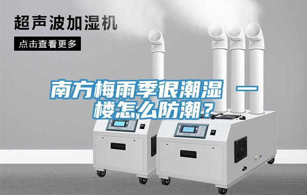 南方梅雨季很潮濕 一樓怎麽防潮？