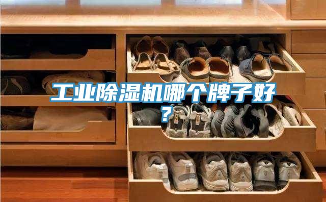 工業草莓视频污污污污哪個牌子好？