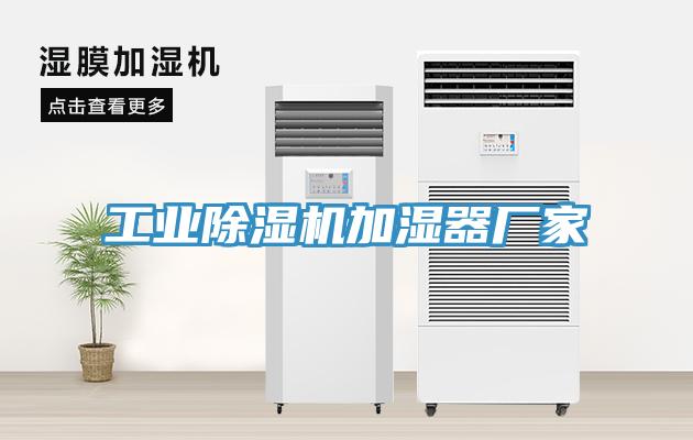 工業草莓视频污污污污加濕器廠家
