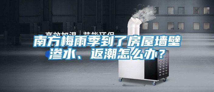 南方梅雨季到了房屋牆壁滲水、返潮怎麽辦？