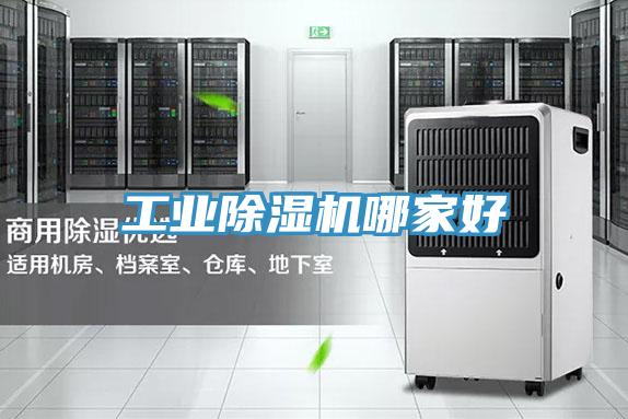 工業草莓视频污污污污哪家好