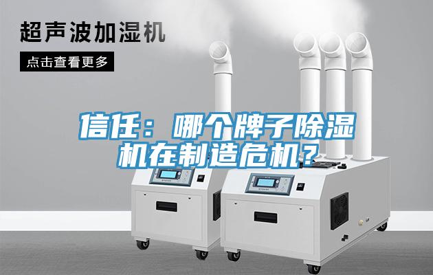 信任：哪個牌子草莓视频污污污污在製造危機？