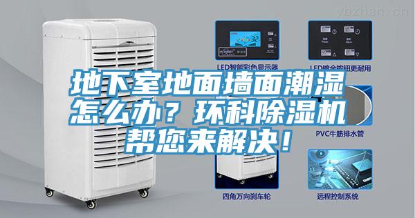 地下室地麵牆麵潮濕怎麽辦？環科草莓视频污污污污幫您來解決！