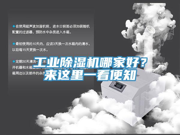 工業草莓视频污污污污哪家好？來這裏一看便知