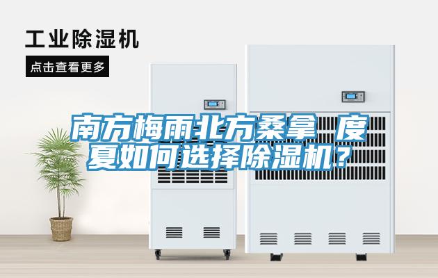 南方梅雨北方桑拿 度夏如何選擇草莓视频污污污污？