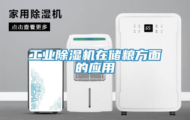 工業草莓视频污污污污在儲糧方麵的應用