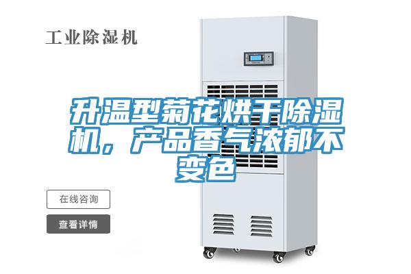 升溫型菊花烘幹草莓视频污污污污，產品香氣濃鬱不變色