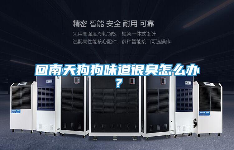 回南天狗狗味道很臭怎麽辦？