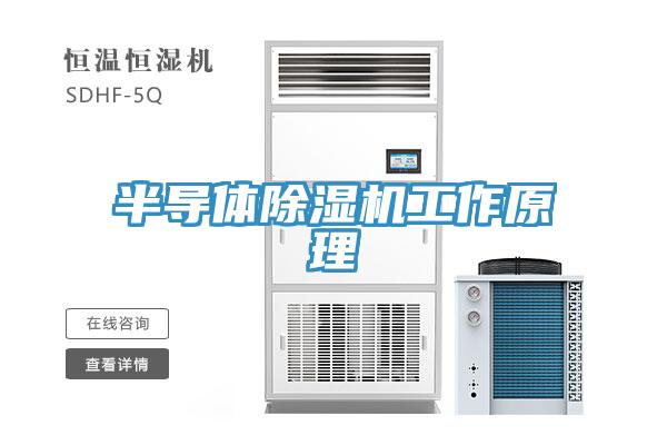 半導體草莓视频污污污污工作原理