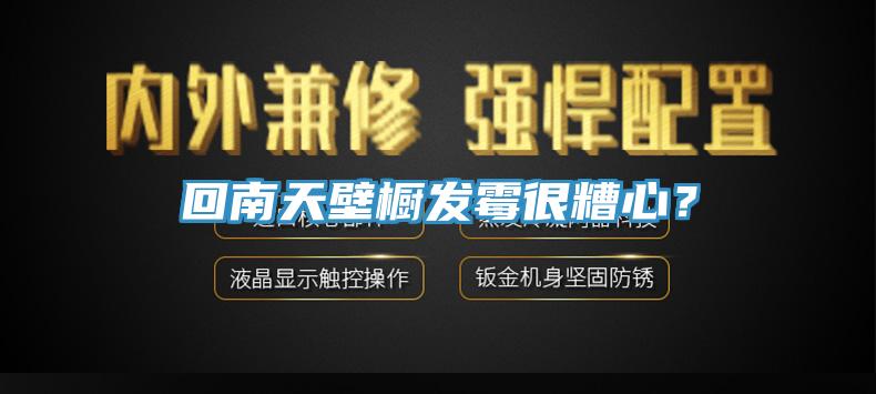 回南天壁櫥發黴很糟心？