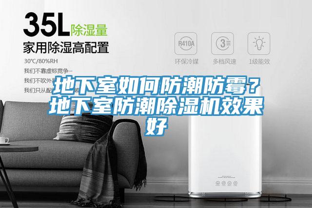 地下室如何防潮防黴？地下室防潮草莓视频污污污污效果好