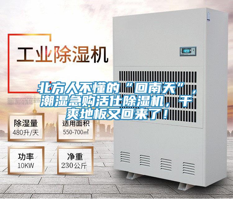 北方人不懂的“回南天”，潮濕急購活仕草莓视频污污污污，幹爽地板又回來了！