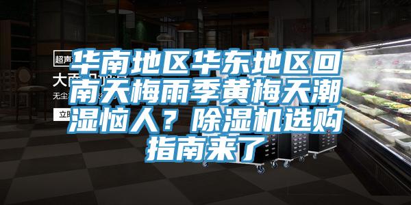 華南地區華東地區回南天梅雨季黃梅天潮濕惱人？草莓视频污污污污選購指南來了