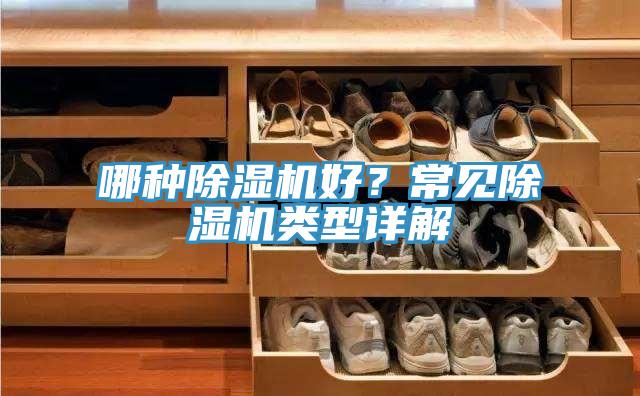 哪種草莓视频污污污污好？常見草莓视频污污污污類型詳解