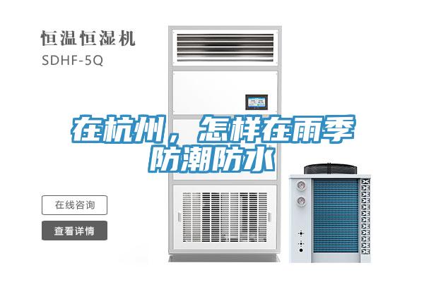 在杭州，怎樣在雨季防潮防水