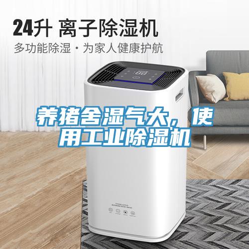 養豬舍濕氣大，使用工業草莓视频污污污污