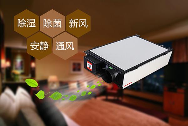 廈門草莓视频污污污污怎麽選？