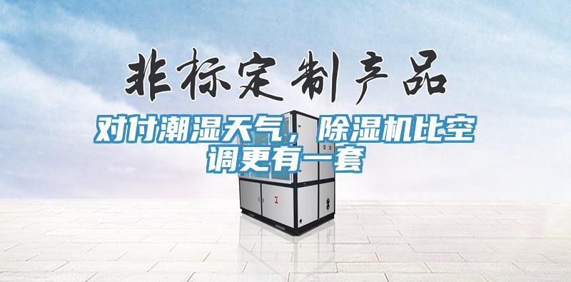 對付潮濕天氣，草莓视频污污污污比空調更有一套