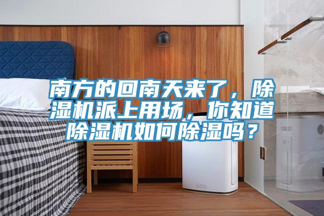 南方的回南天來了，草莓视频污污污污派上用場，你知道草莓视频污污污污如何除濕嗎？
