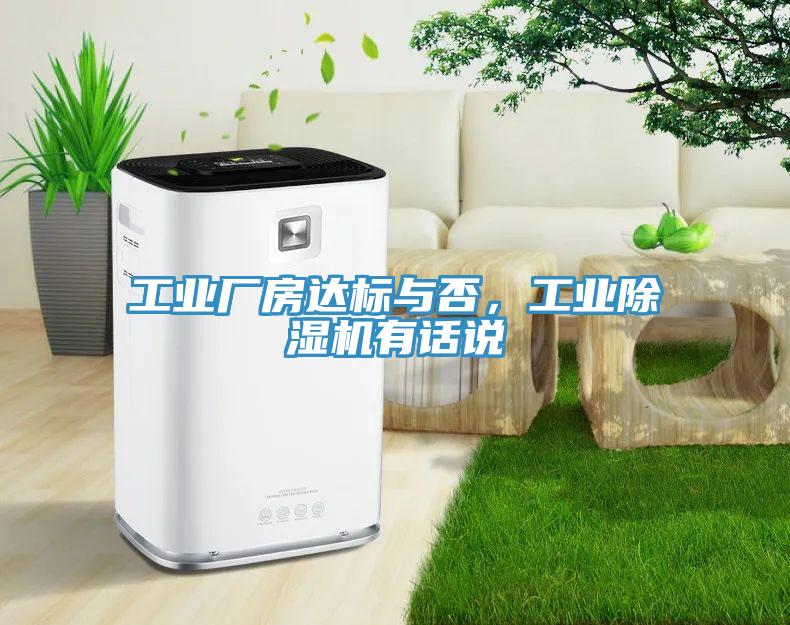 工業廠房達標與否，工業草莓视频污污污污有話說