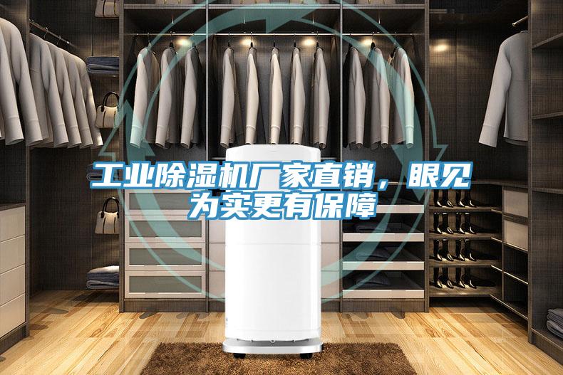 工業草莓视频污污污污廠家直銷，眼見為實更有保障