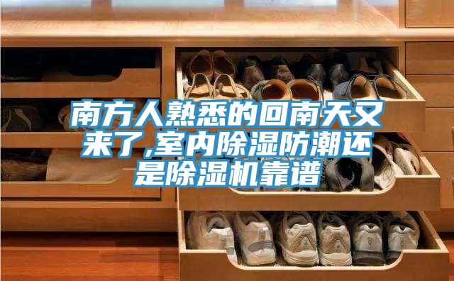 南方人熟悉的回南天又來了,室內除濕防潮還是草莓视频污污污污靠譜