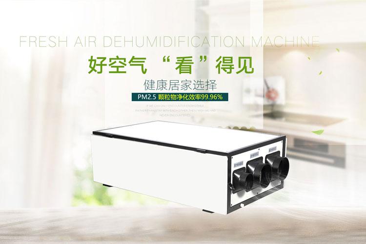 工業草莓视频污污污污7Kg／h
