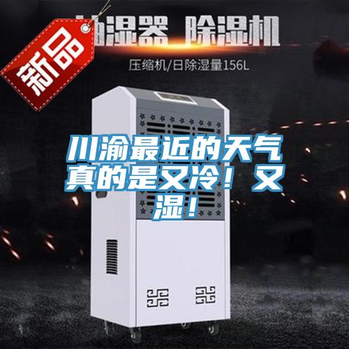 川渝最近的天氣真的是又冷！又濕！