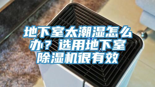 地下室太潮濕怎麽辦？選用地下室草莓视频污污污污很有效