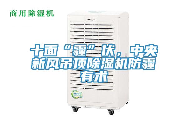 十麵“霾”伏，中央新風吊頂草莓视频污污污污防霾有術