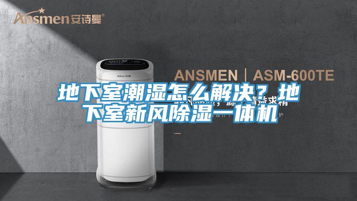 地下室潮濕怎麽解決？地下室新風除濕一體機