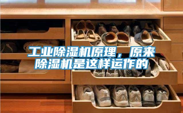 工業草莓视频污污污污原理，原來草莓视频污污污污是這樣運作的