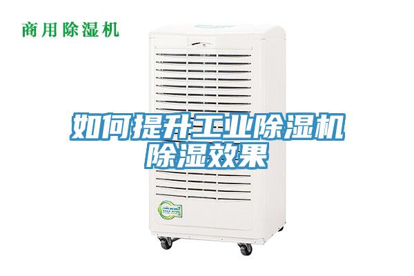 如何提升工業草莓视频污污污污除濕效果
