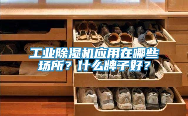 工業草莓视频污污污污應用在哪些場所？什麽牌子好？