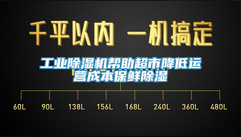 工業草莓视频污污污污幫助超市降低運營成本保鮮除濕