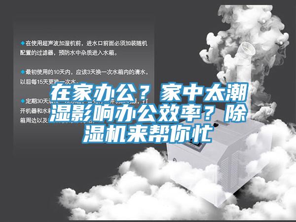 在家辦公？家中太潮濕影響辦公效率？草莓视频污污污污來幫你忙