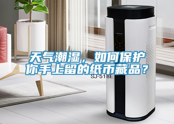 天氣潮濕，如何保護你手上留的紙幣藏品？