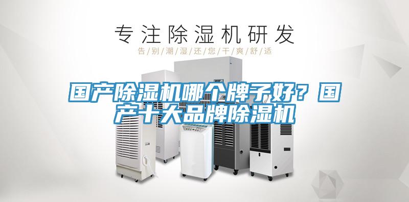 國產草莓视频污污污污哪個牌子好？國產十大品牌草莓视频污污污污