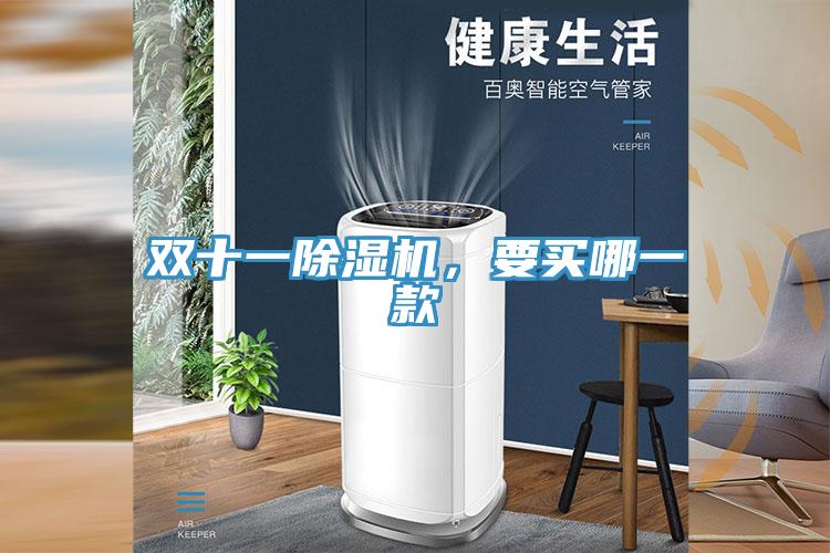 雙十一草莓视频污污污污，要買哪一款