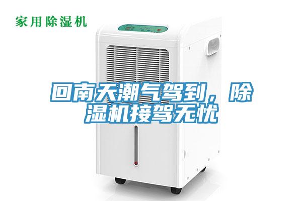 回南天潮氣駕到，草莓视频污污污污接駕無憂