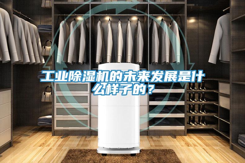 工業草莓视频污污污污的未來發展是什麽樣子的？