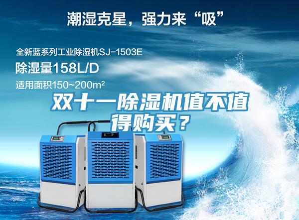 雙十一草莓视频污污污污值不值得購買？
